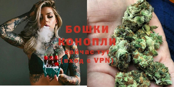 молекула духа Аркадак
