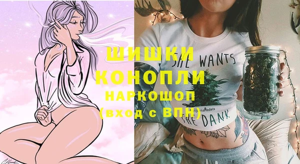 молекула духа Аркадак