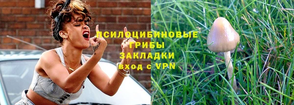 гашик Покровск