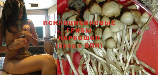 прущий лед Армянск